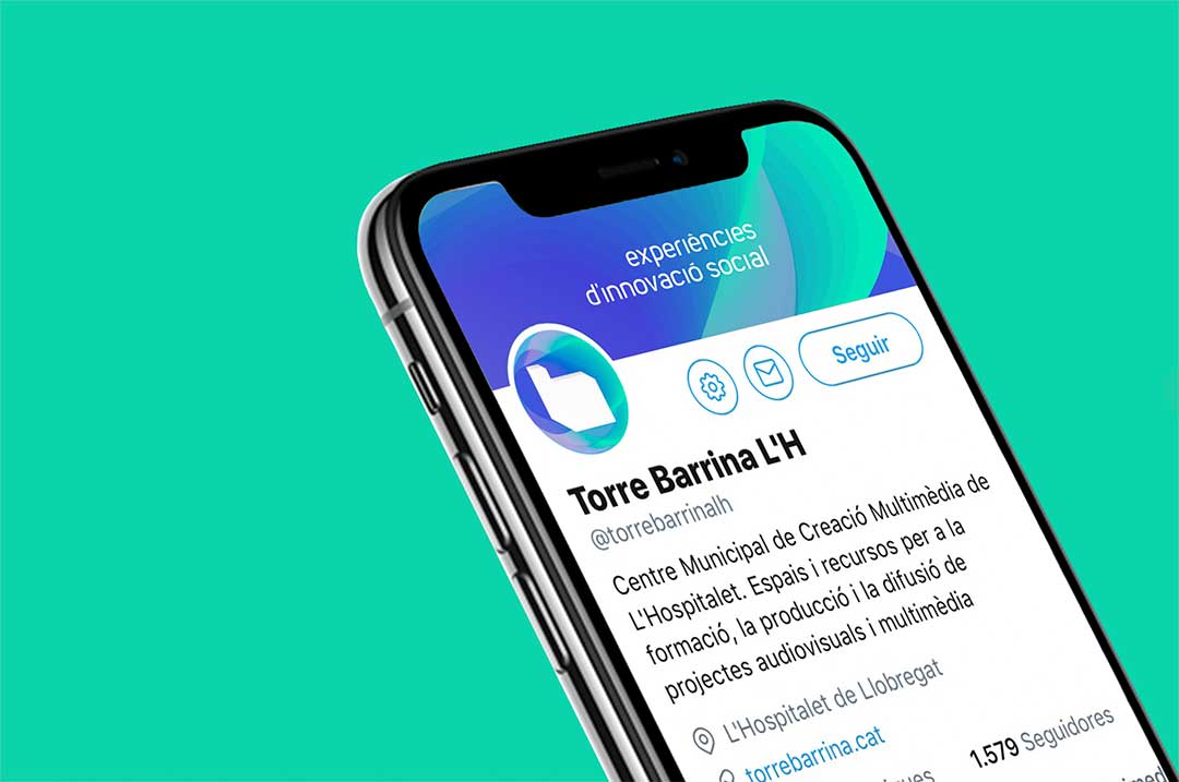 Torre Barrina - Detall lingüístic